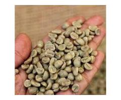 Kenyan AA Arabica Coffee beans